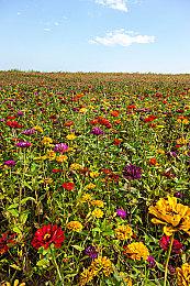 动视暴雪股东投票批准微软收购 超98%投赞成票